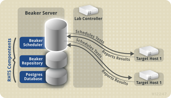 Server and target host relationship